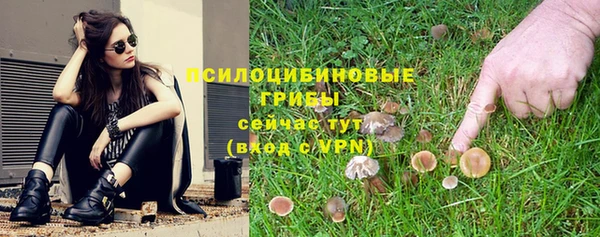 прущая мука Богородицк