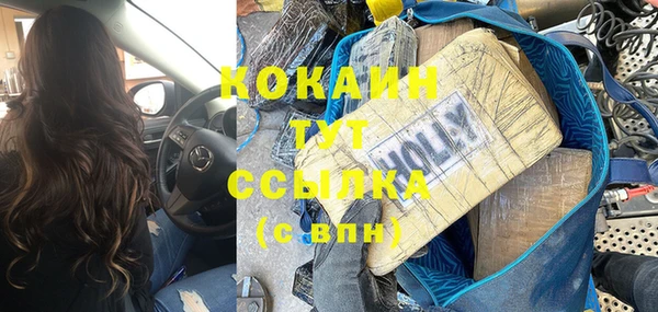 эйфоретик Богданович