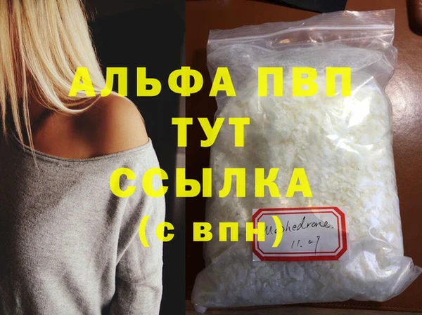 эйфоретик Богданович