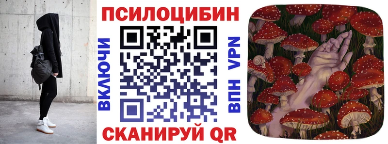 Купить  Нариманов  Псилоцибиновые грибы MAGIC MUSHROOMS 
